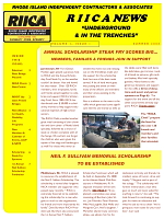 RIICA Newsletter - August 2008