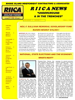 RIICA Newsletter - November 2008